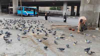 Man Feeding Pigeons Under October Bridge, Cairo