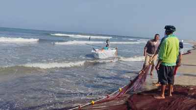 Fisherman Pulling a Traditional Boat (Fuluka) Through Lake Burullus