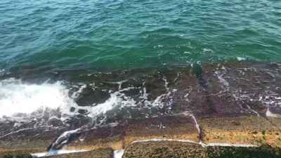 Mediterranean Sea Waves, Raml Station Alexandria