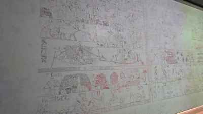 Ancient Egyptian Papyrus Wall Display, Grand Egyptian Museum