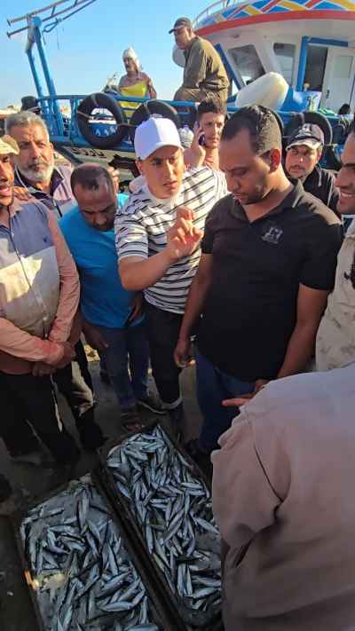 Fishermen Negotiating Fresh Catch at Egyptian Harbor