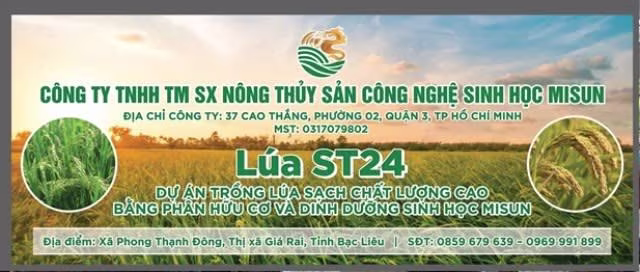Hội Nông dân xã Phong Thạnh Đông, thị xã Giá Rai xây dựng mô hình sản xuất lúa sạch