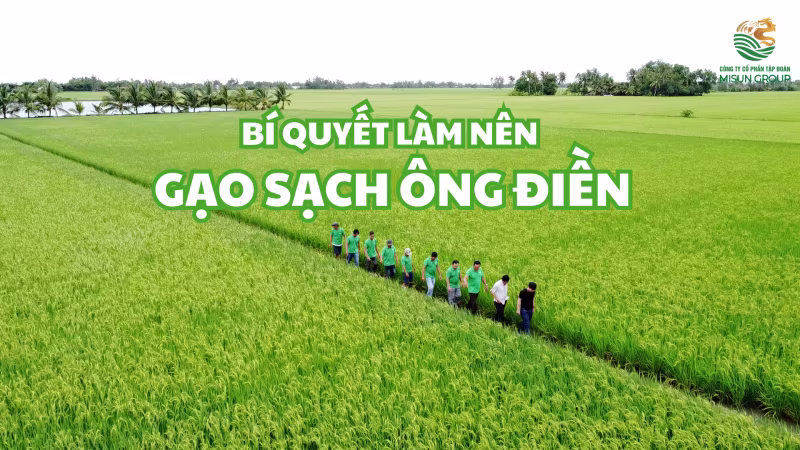 "Từ đồng ruộng sạch đến hạt gạo vàng"