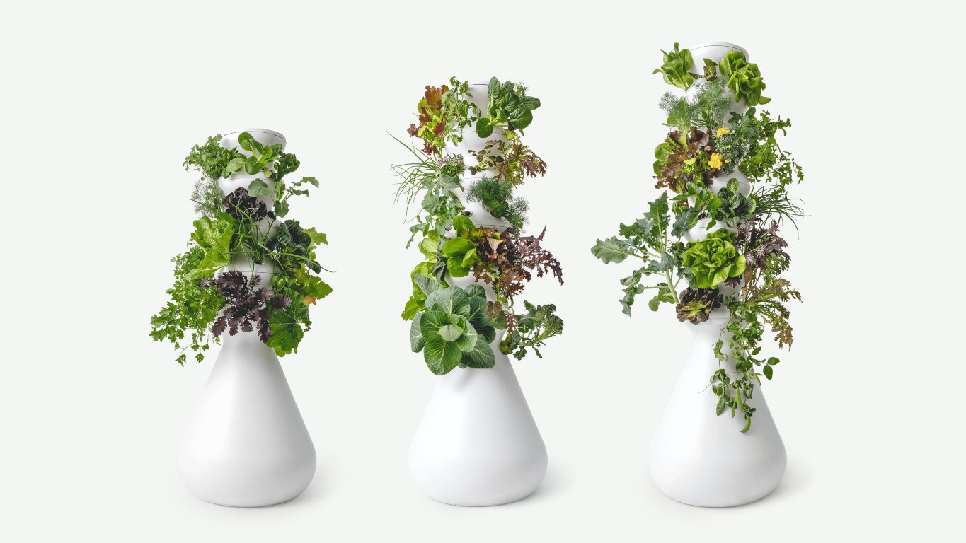 Great Vase
