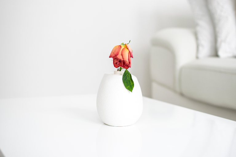 Snow Vase