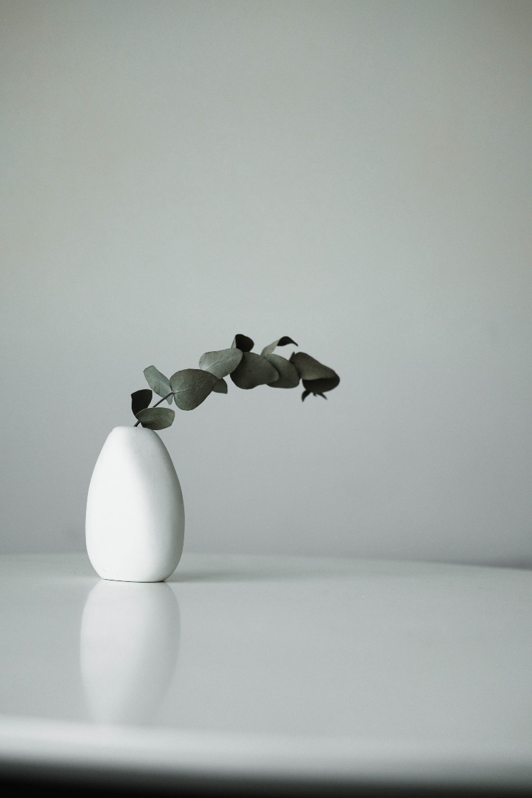 White Vase