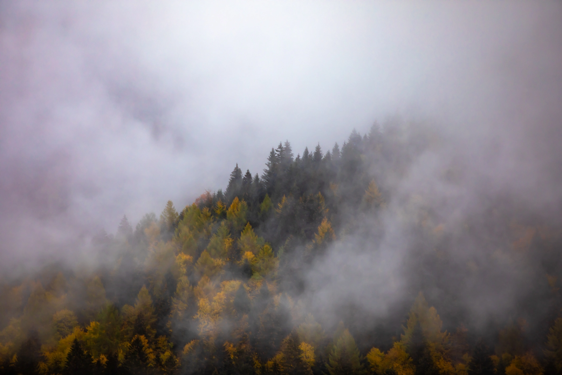 Swiss Autumn