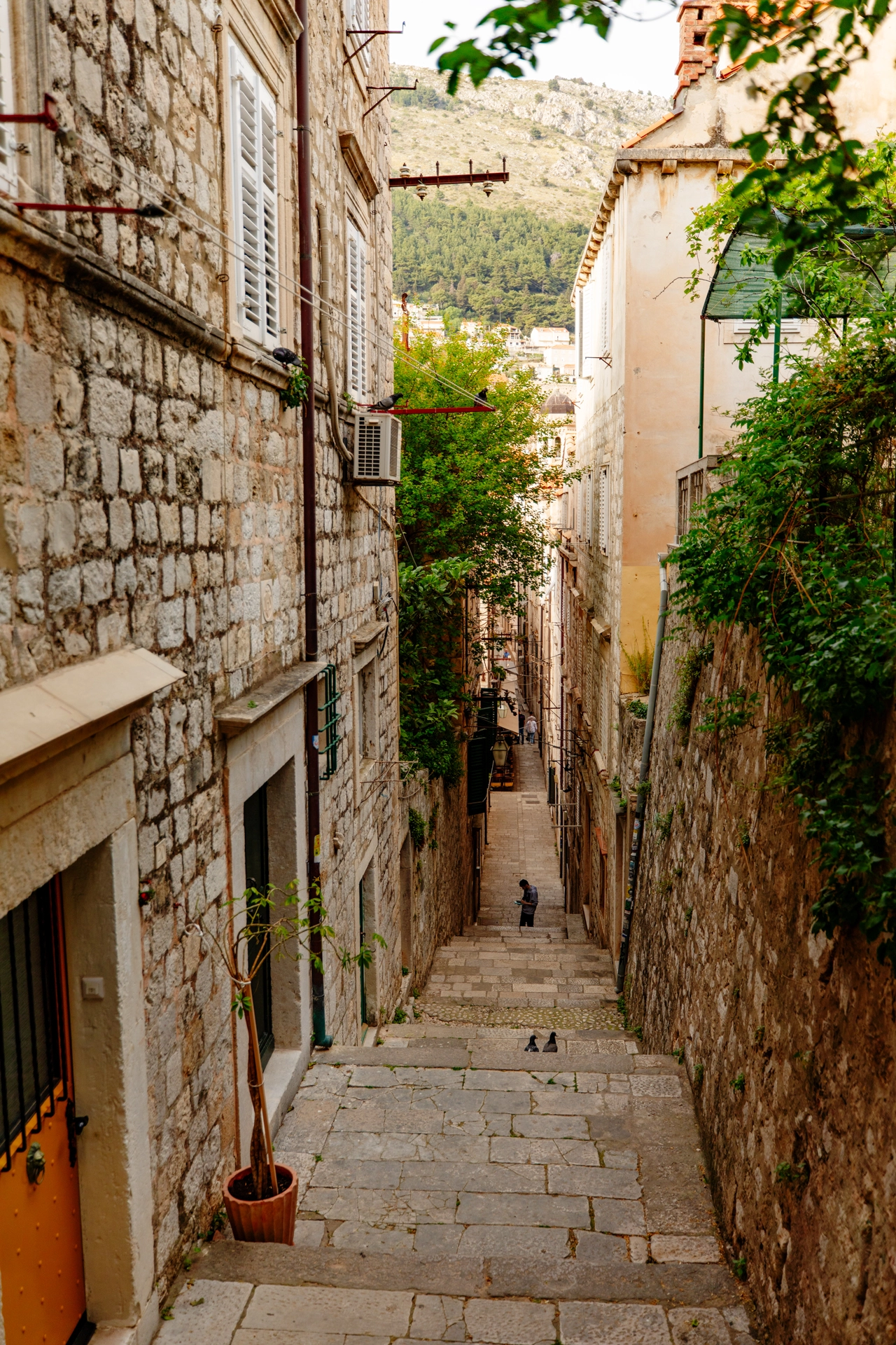 Charming Alleyway in Dubrovnik's Old Town