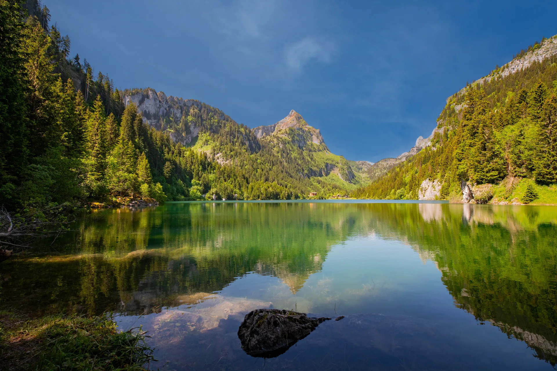 Swiss Alps Summer