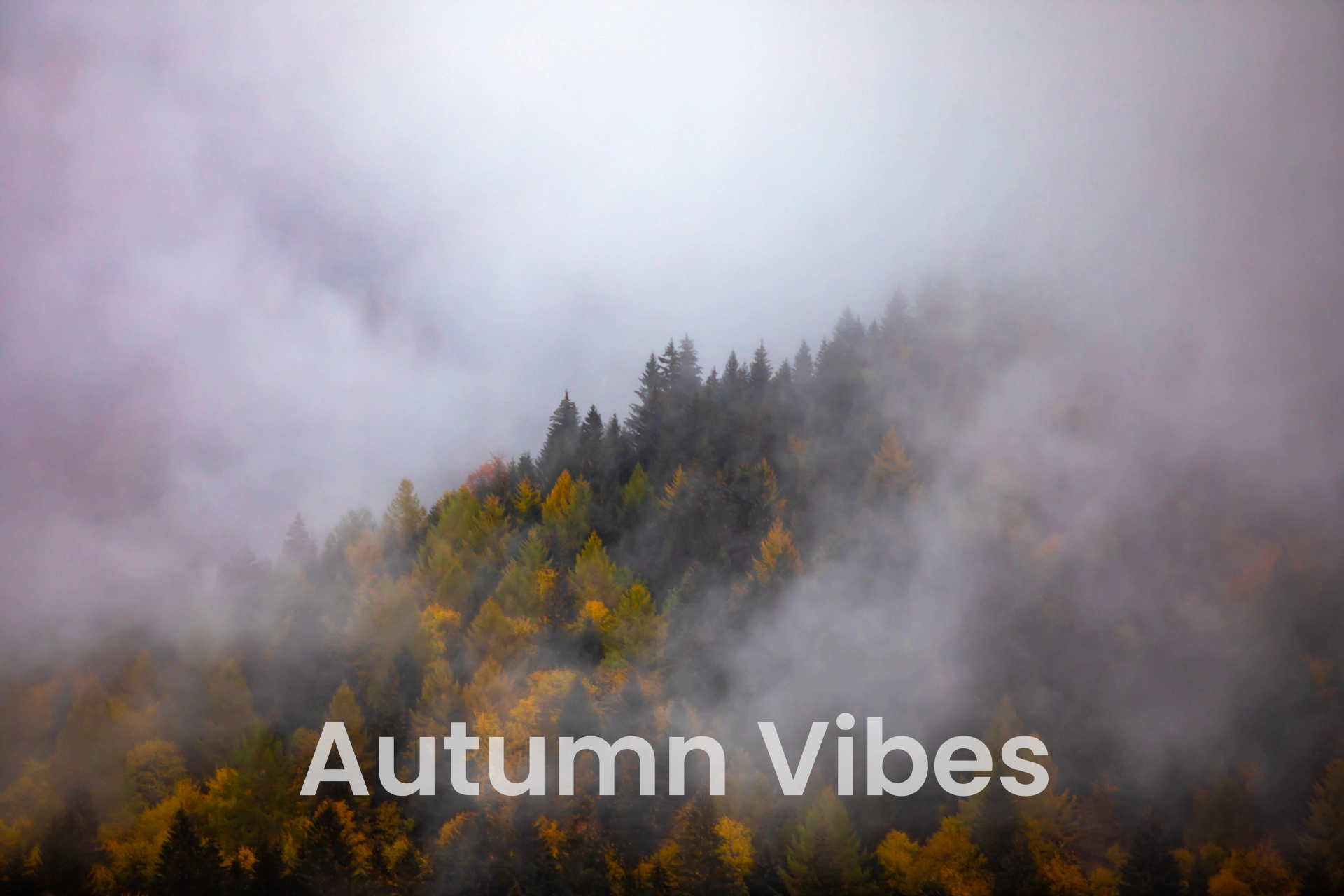Swiss Alp during Automn