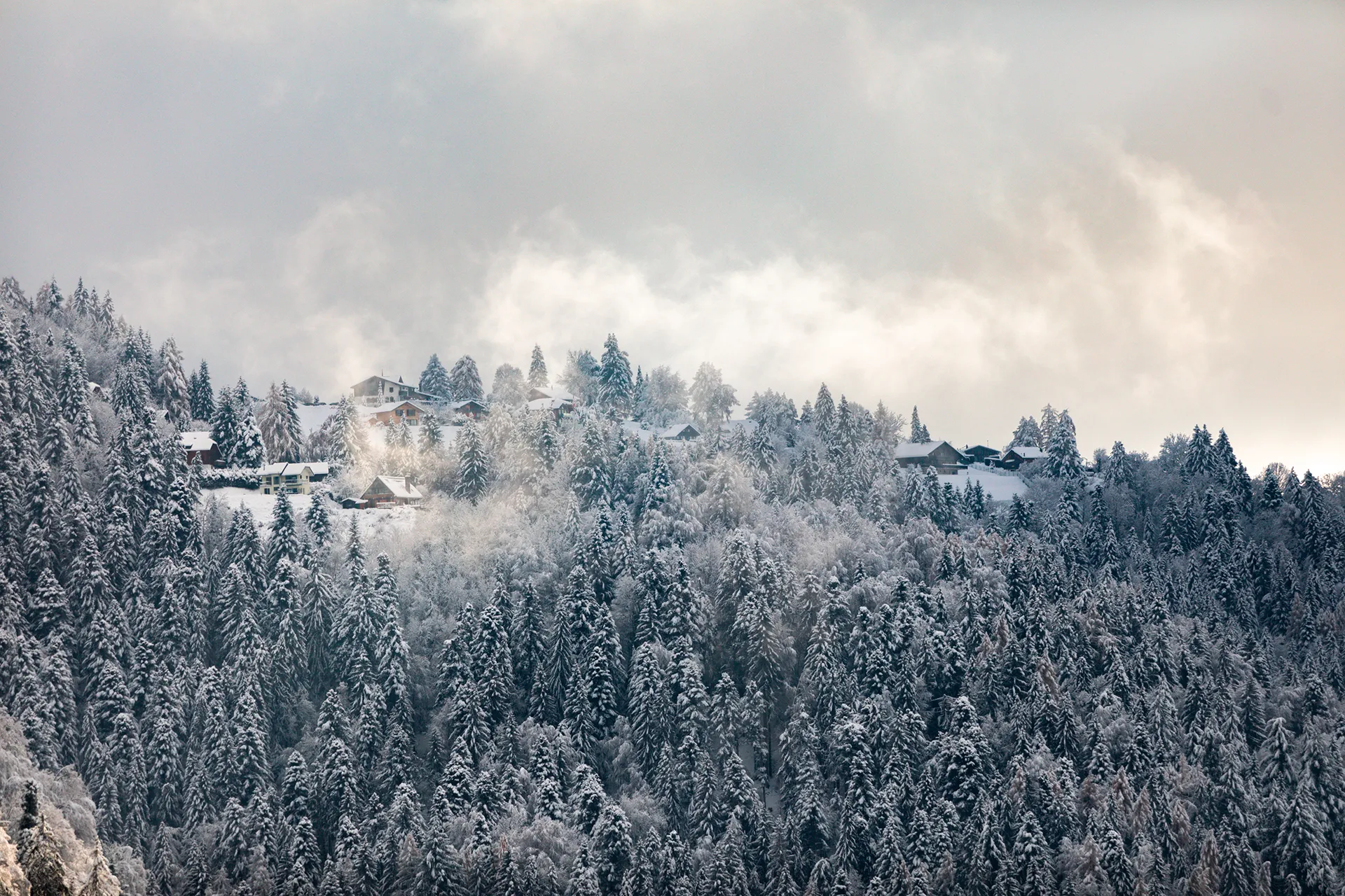 Swiss Alps Winter
