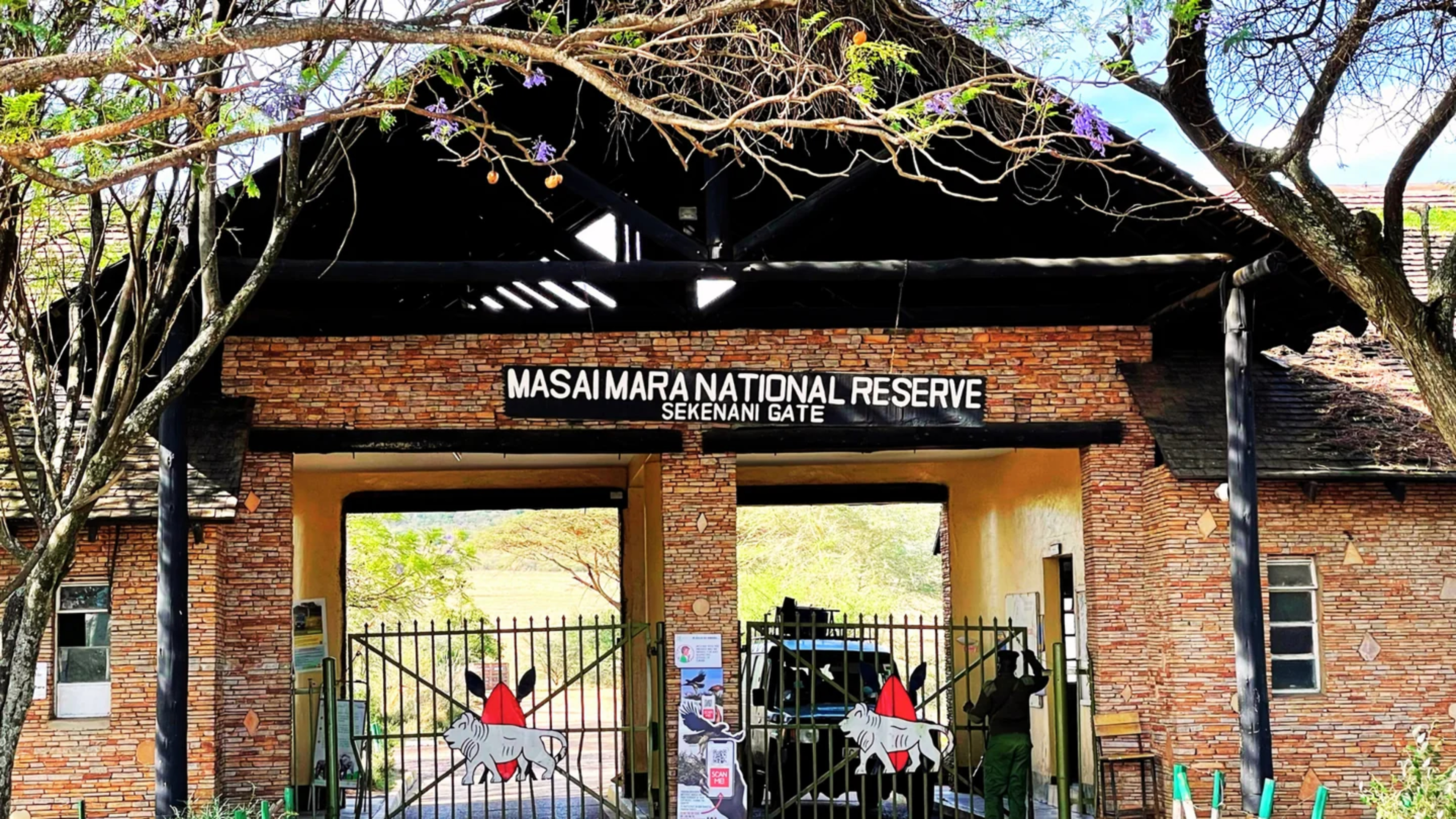 Frais du parc du Maasai Mara