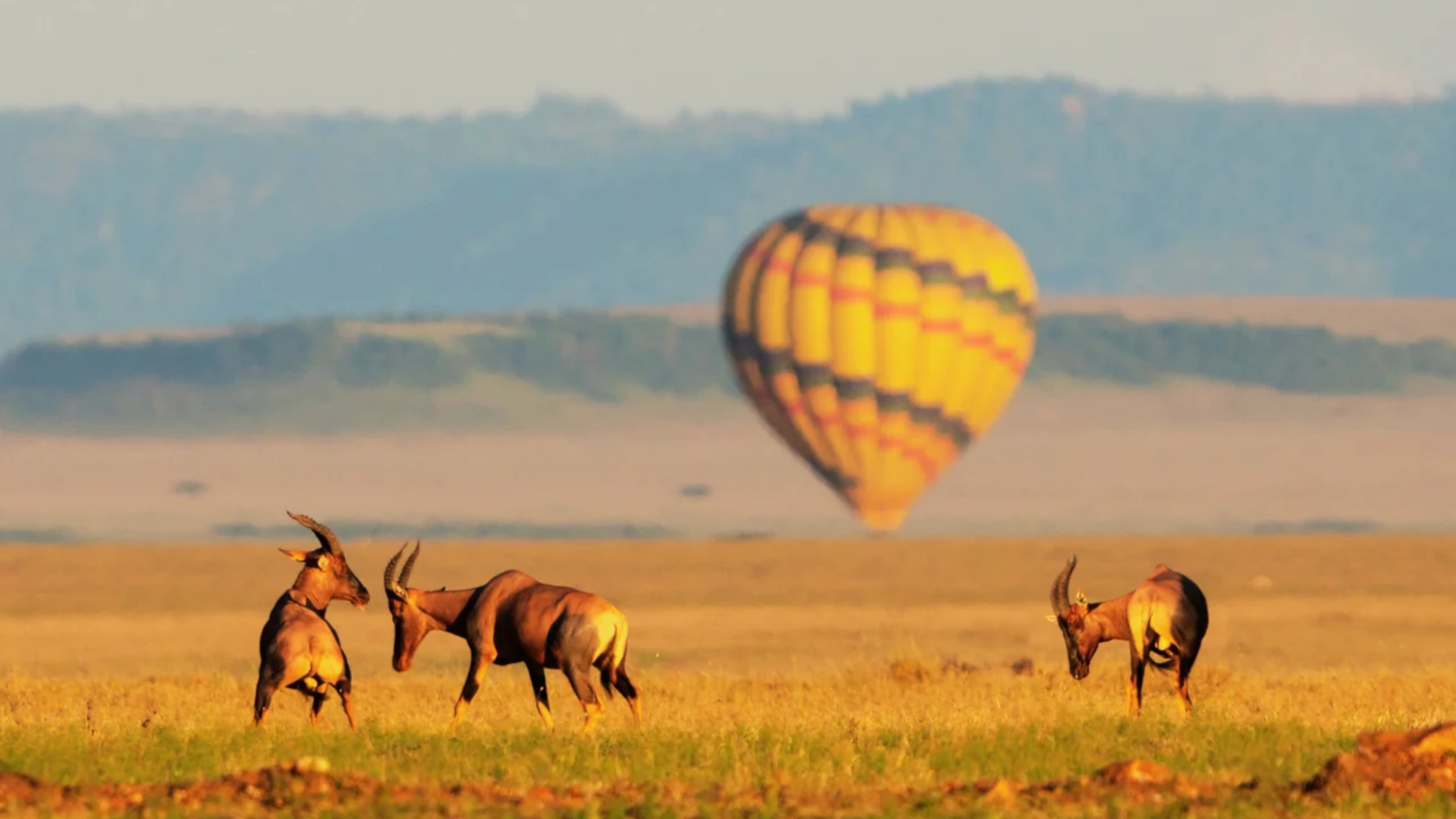 Aerial view of Maasai Mara airstrips