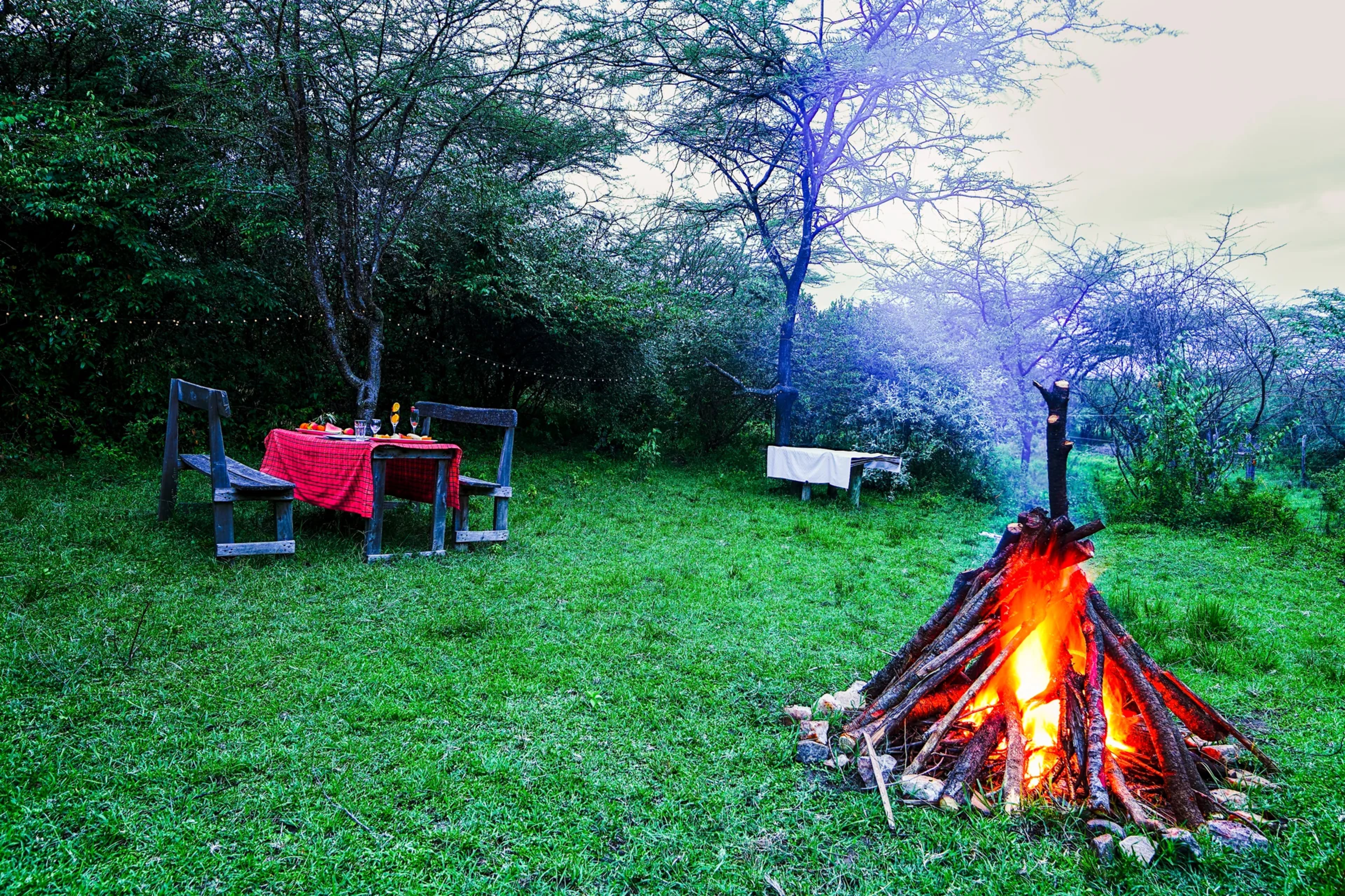 Bush dinner table setting in the Maasai Mara