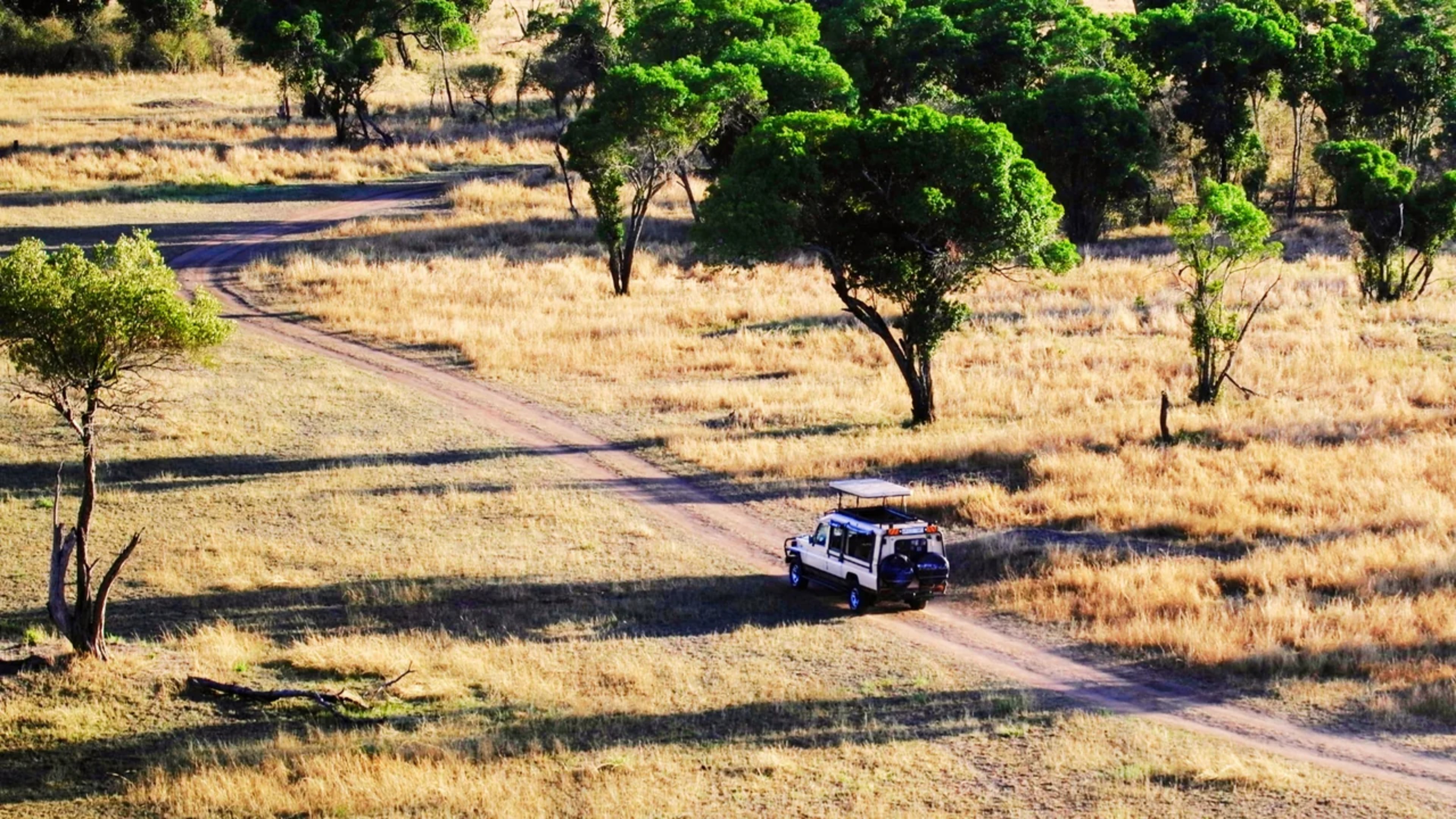 Land Cruiser