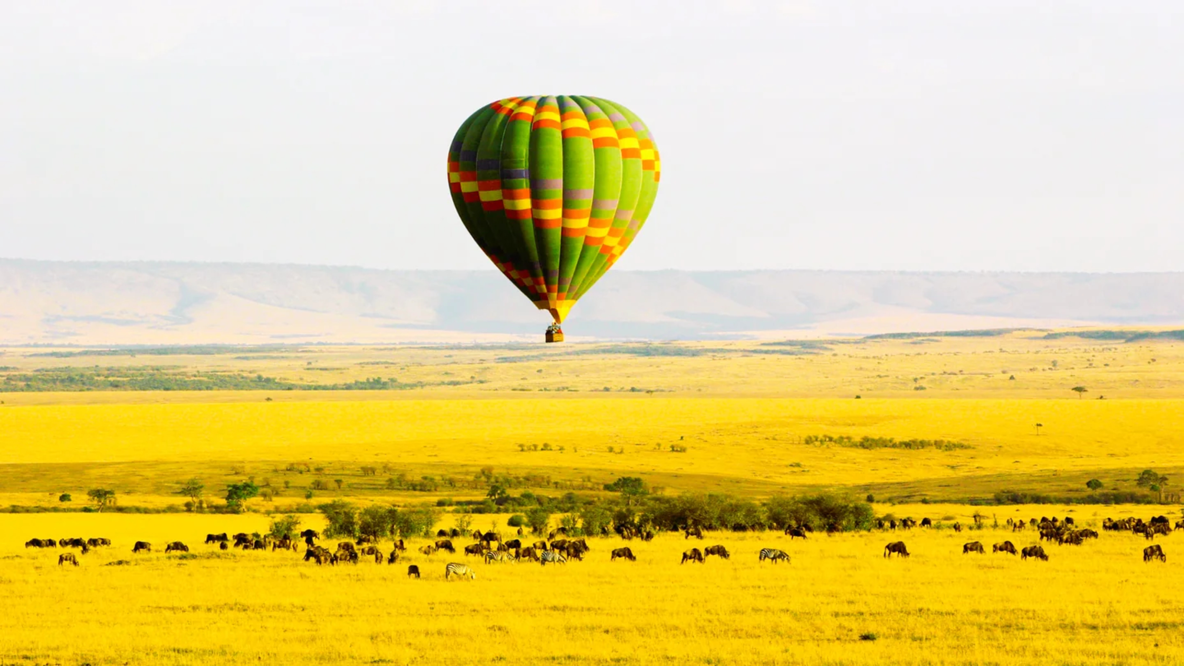 Hot air balloon safari over the Maasai Mara at sunrise
