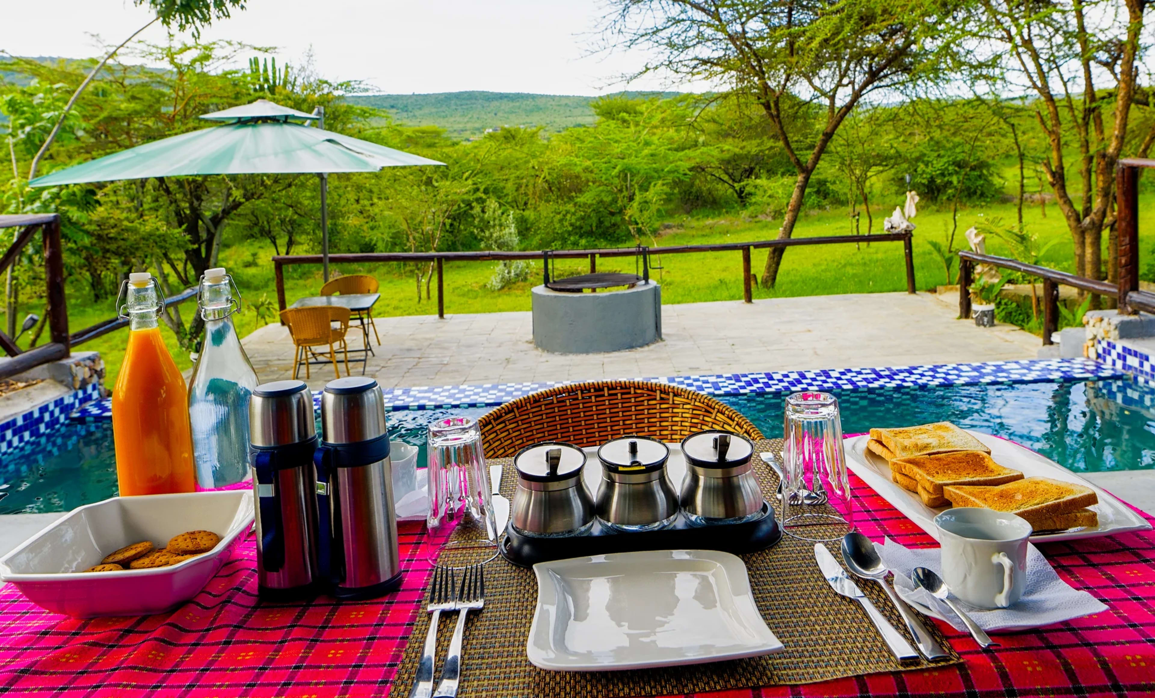 Kenya Safari Currency Guide: Cash, Credit Cards, or M-Pesa?