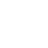 Safari Lion Icon