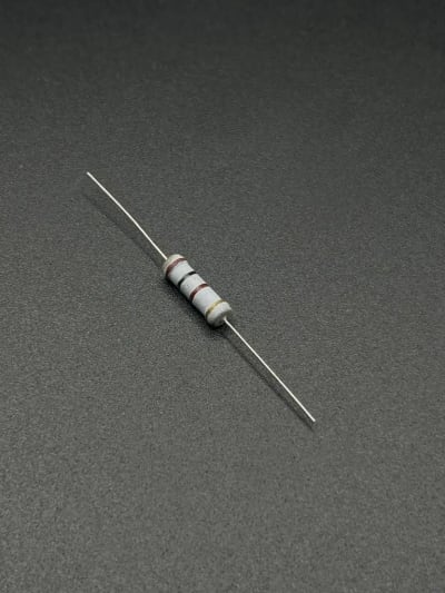 100Ω 2W resistor