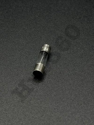 10A 250V fuse