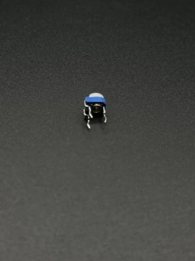 504 500K ohm Variable Resistor