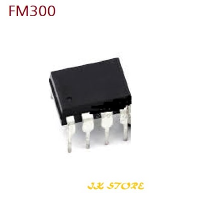 FM300