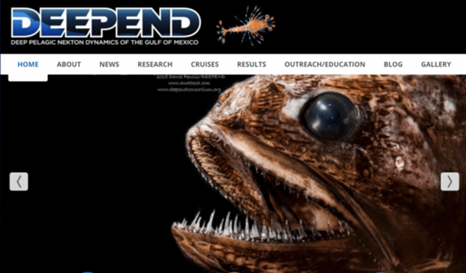 DEEPEND website.