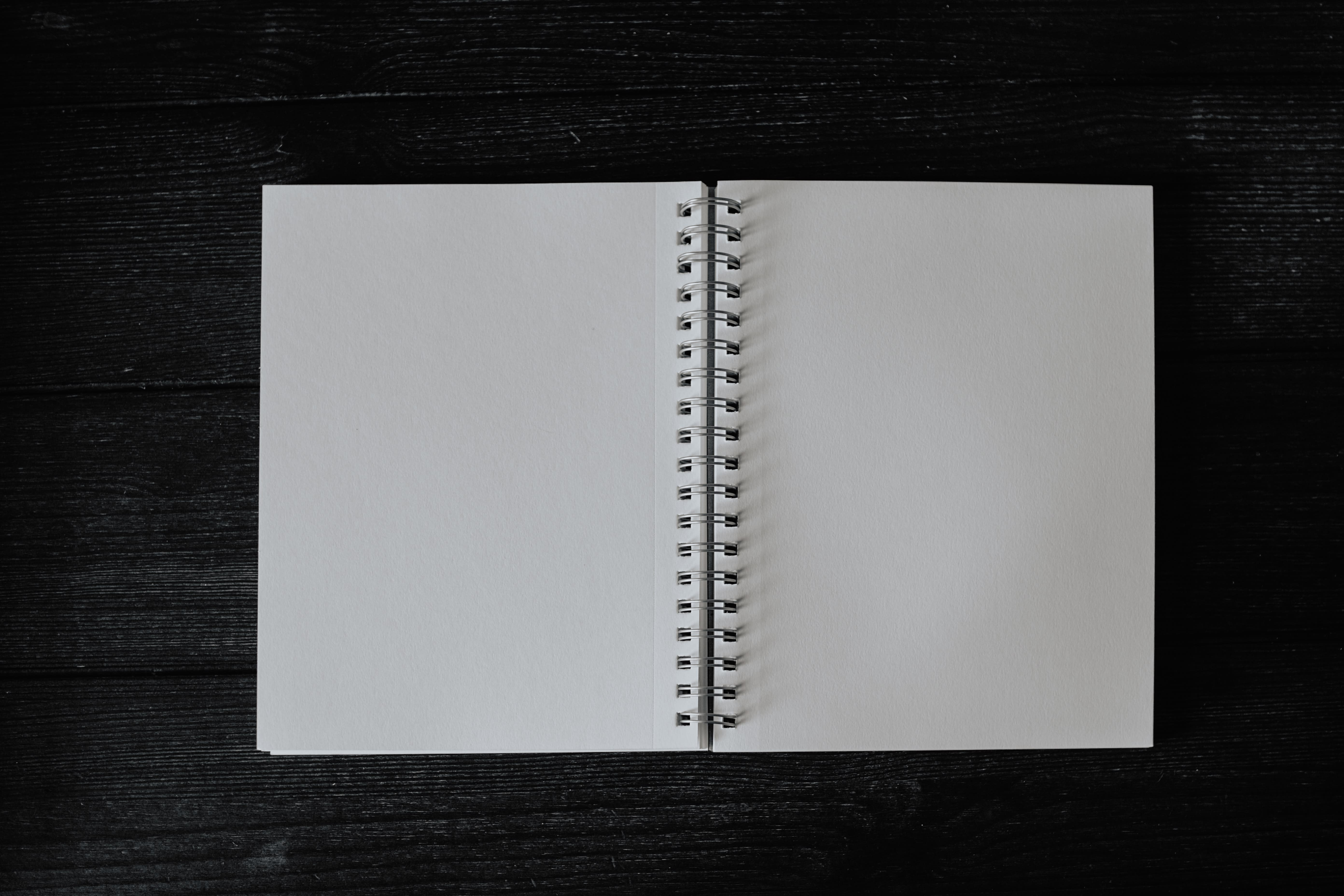 Blank book