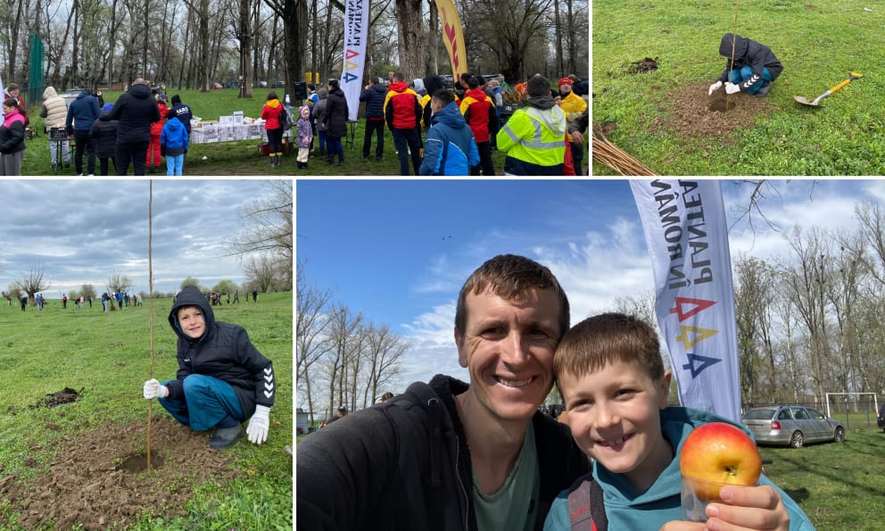 Collage of father and son planting trees