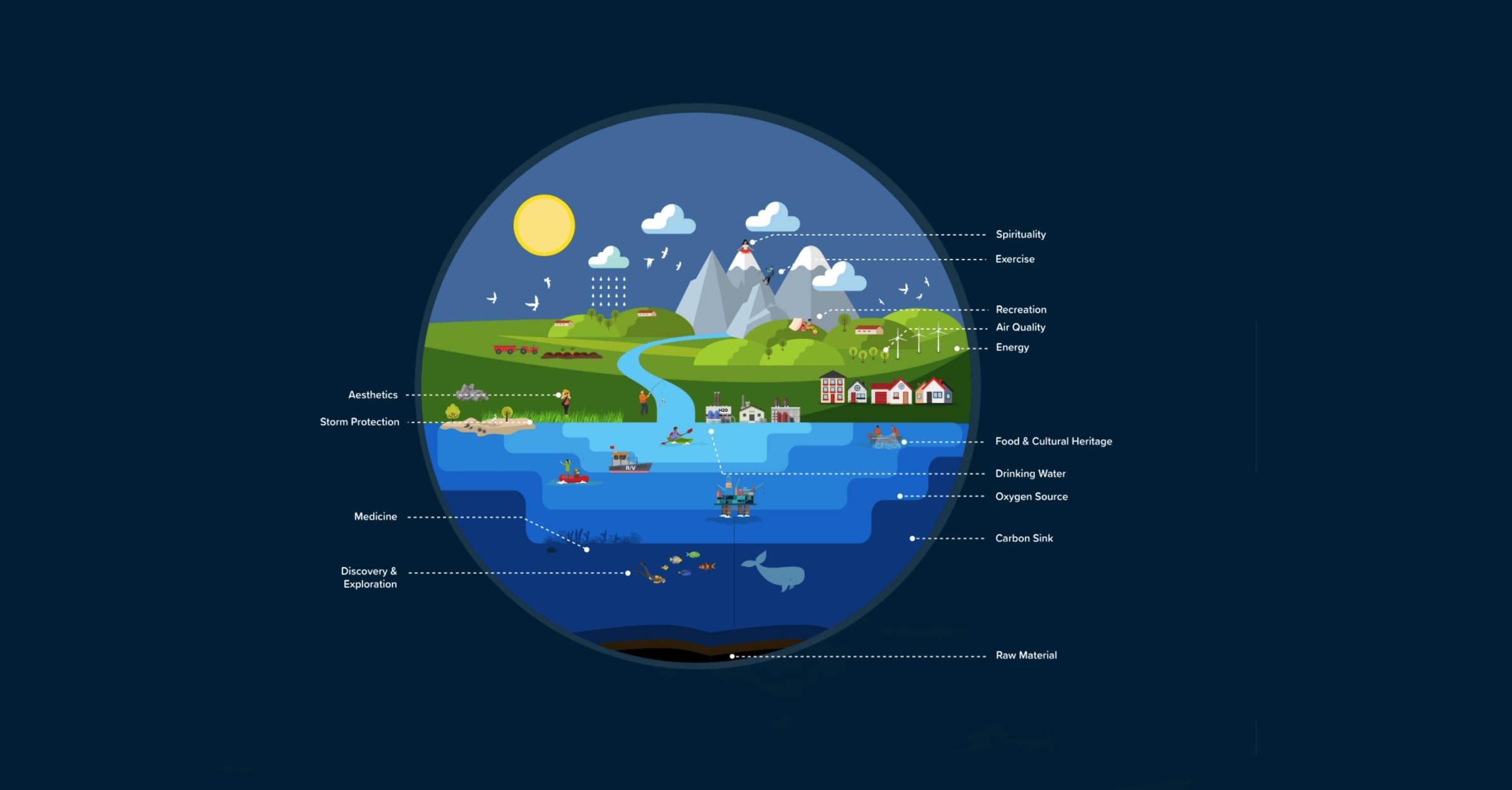 BlueValue Ecosystem