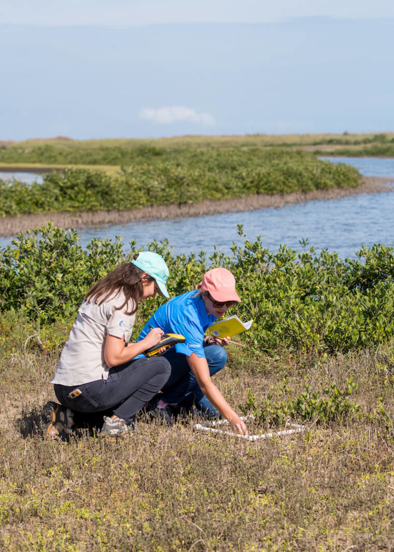 Two researchers in a wetland.