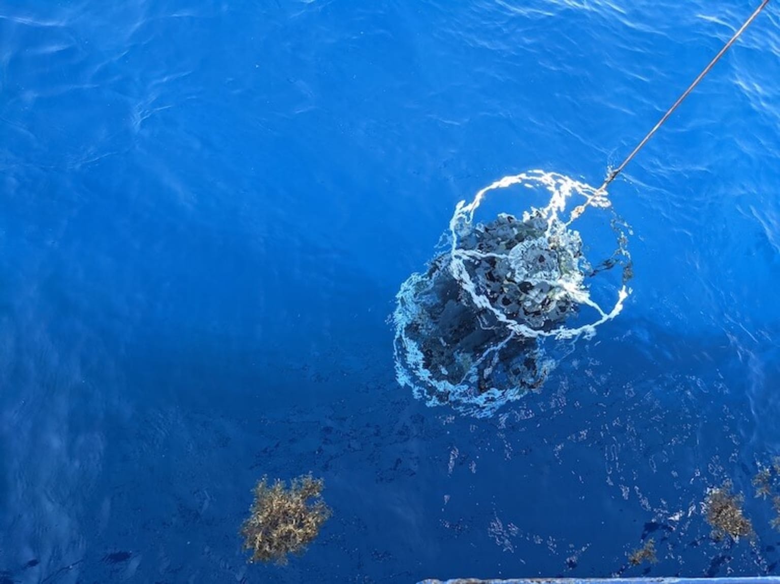 submergable camera iamge