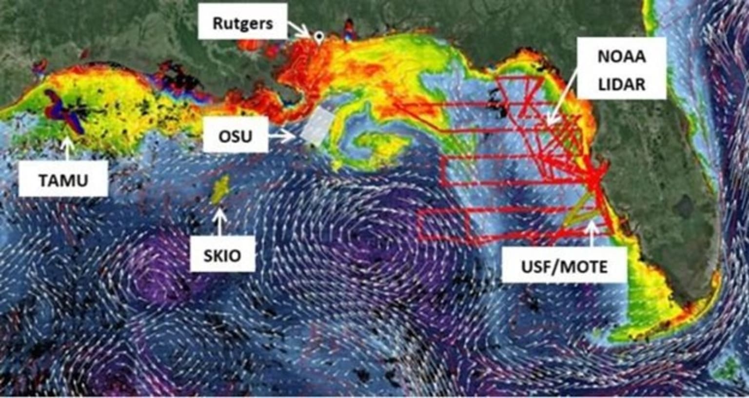 Gulf of Mexico map of currents and salinity contours.