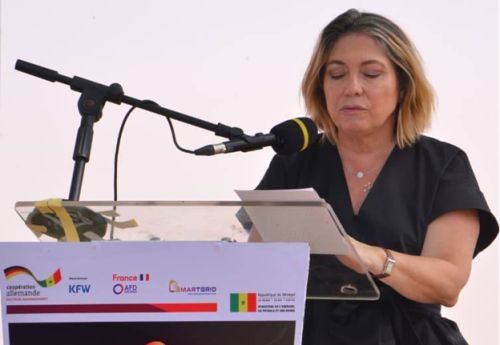 Senegal Seeks Grid Stability with Two Solar Projects