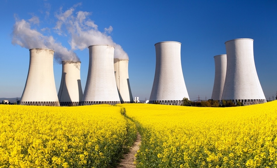 Proposed South African Nuclear Plant Faces Scrutiny Over Squid Fishery