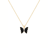 Aurelia Butterfly — view 1