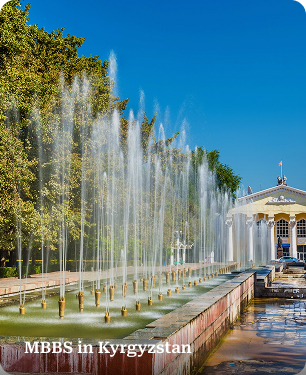 MBBS in Kyrgyzstan