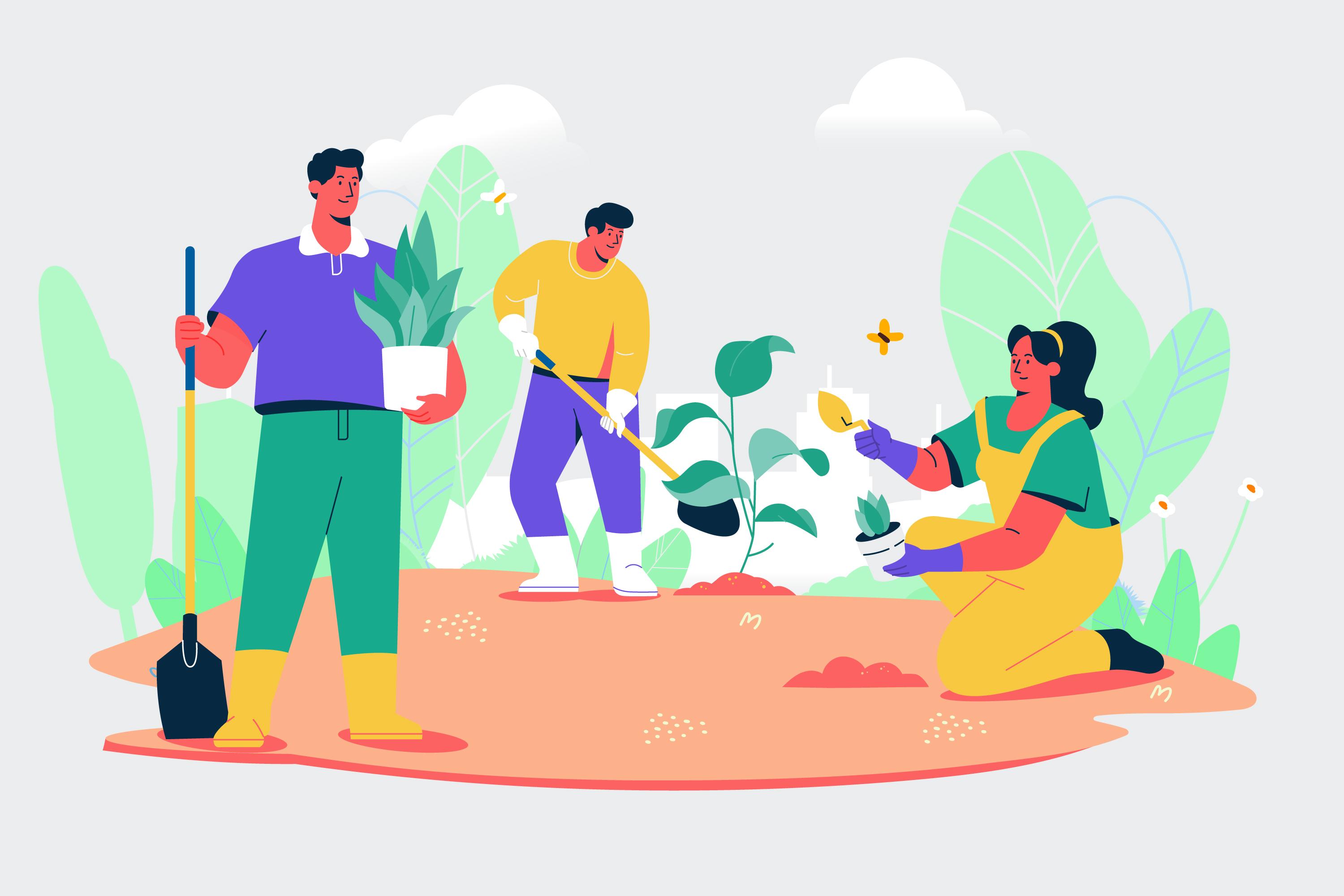 Healthcare Software Illustration