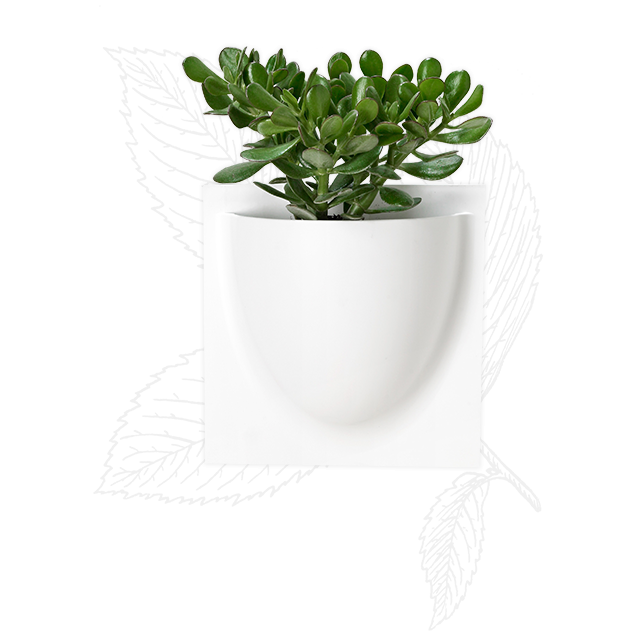 Our Green Family Tree