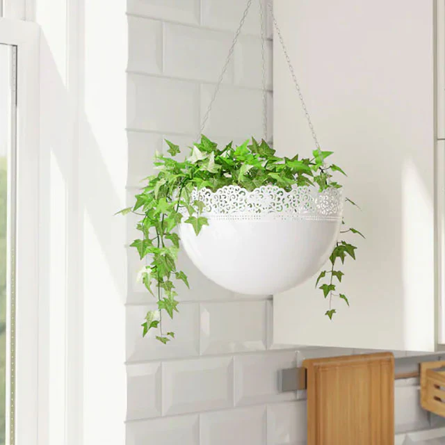 Landscape Development by Plantsship