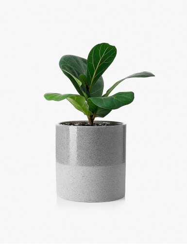 Prestigious Project 7