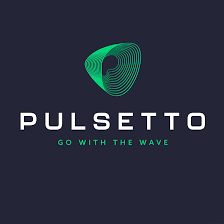 Pulsetto US logo