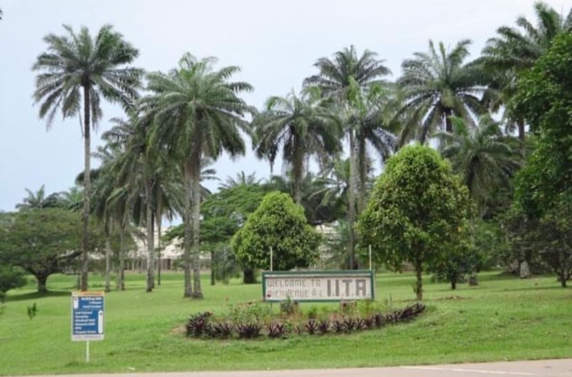 Top 7 Weekend Getaways & Group Day Trips in Oyo State