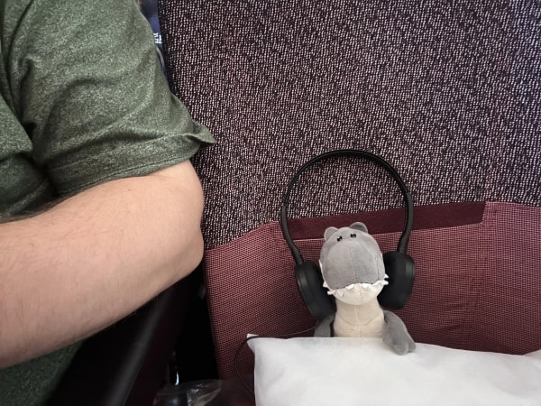 Checking out the movies on this flight!