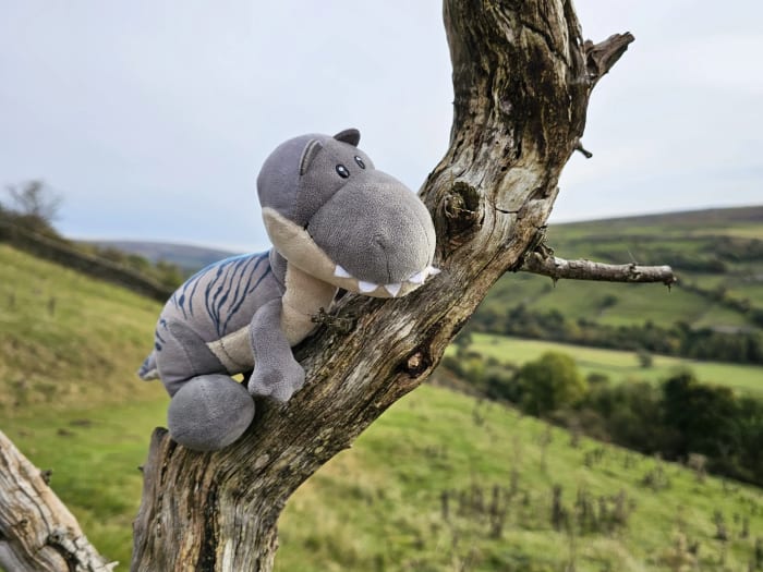 Exploring the Lake District