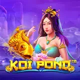 Koi Pond