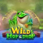 Wild Hop and Drop