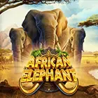 africanelephant
