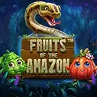 fruitsoftheamazonys