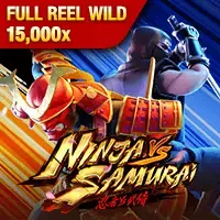 Ninja vs Samurai